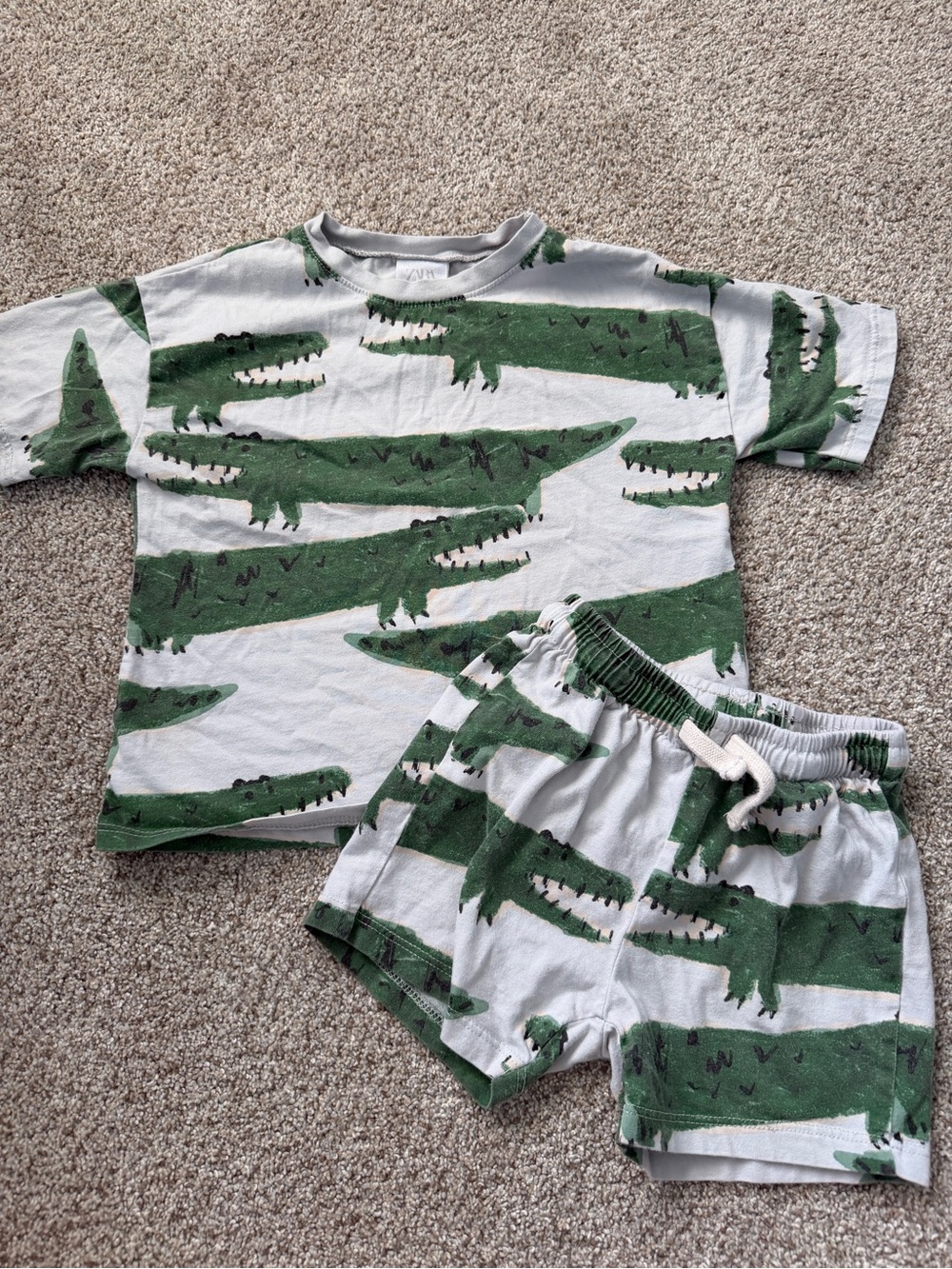 Zara Alligator Crocodile Shorts and Shirt Set